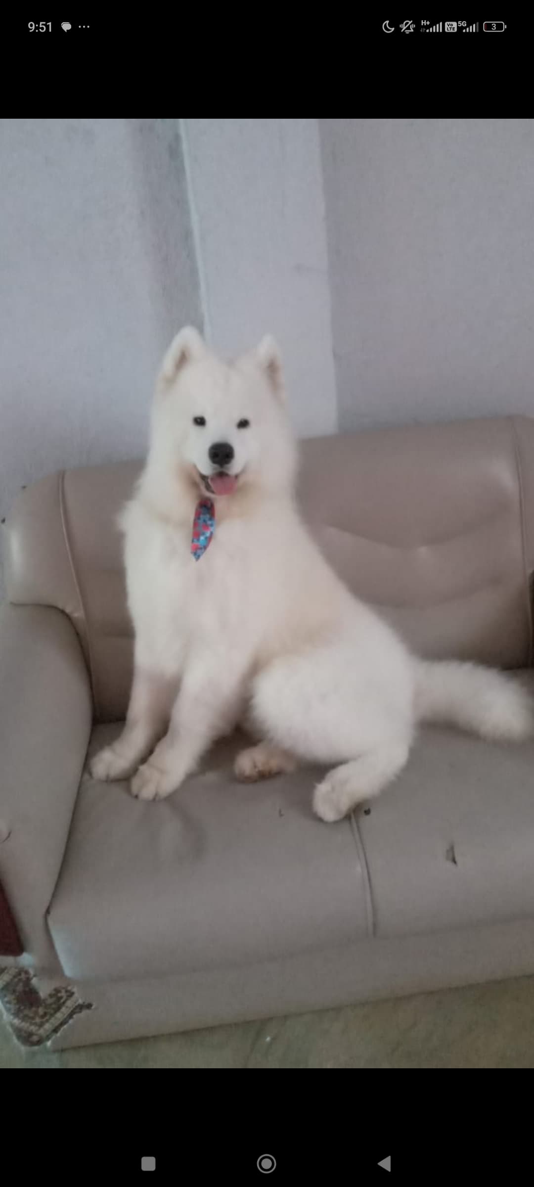 Foto de Jonatas santos